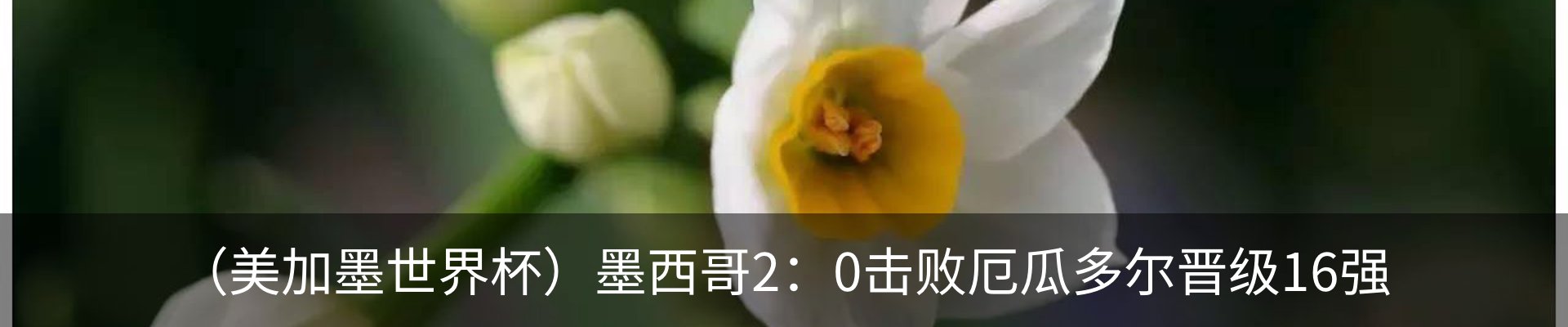 资讯中心